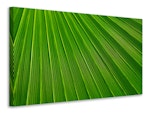 Ljuddämpande tavla - palm stripe i