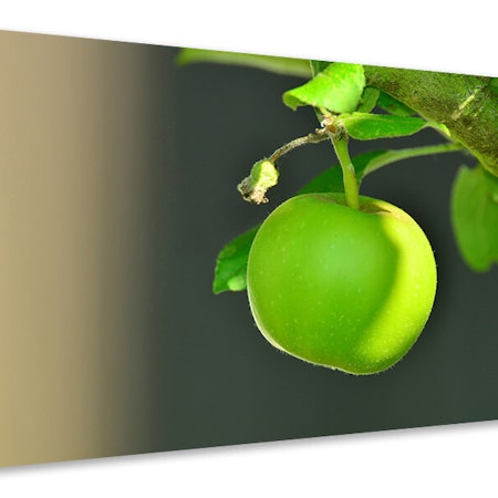 Ljuddämpande tavla - green apple