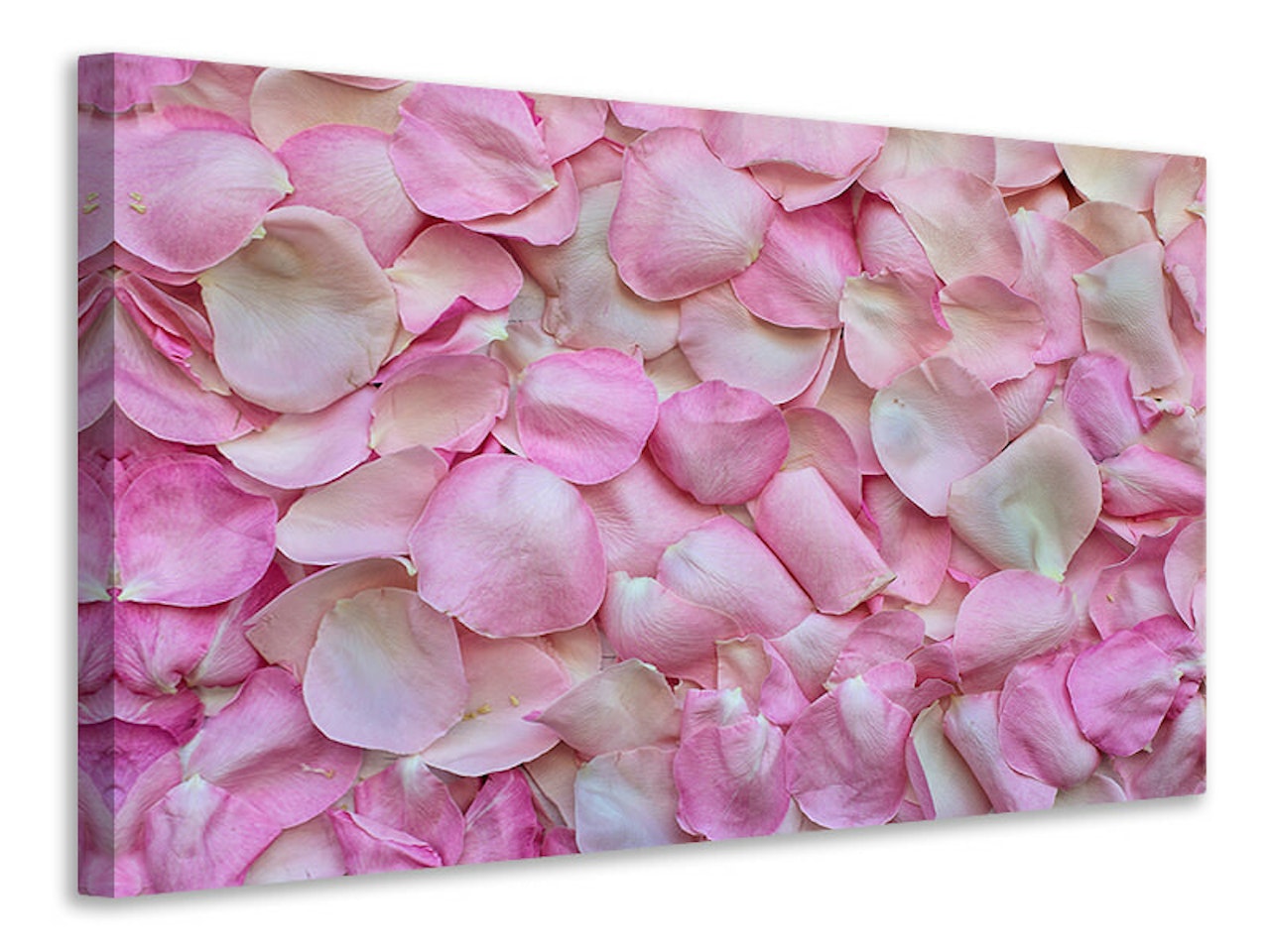 Ljuddämpande tavla - rose petals in pink ii