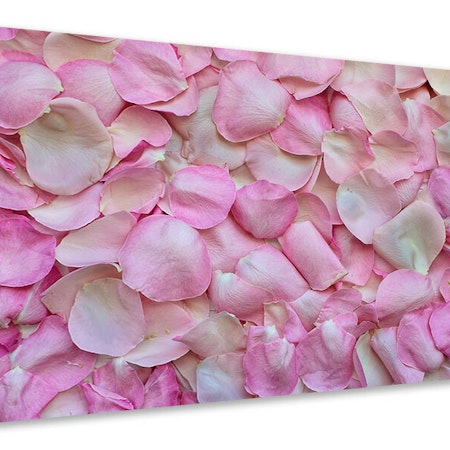 Ljuddämpande tavla - rose petals in pink ii