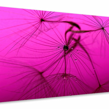 Ljuddämpande tavla - dandelion in pink