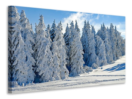 Ljuddämpande tavla - beautiful winter landscape