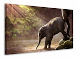 Ljuddämpande tavla - the elephant baby