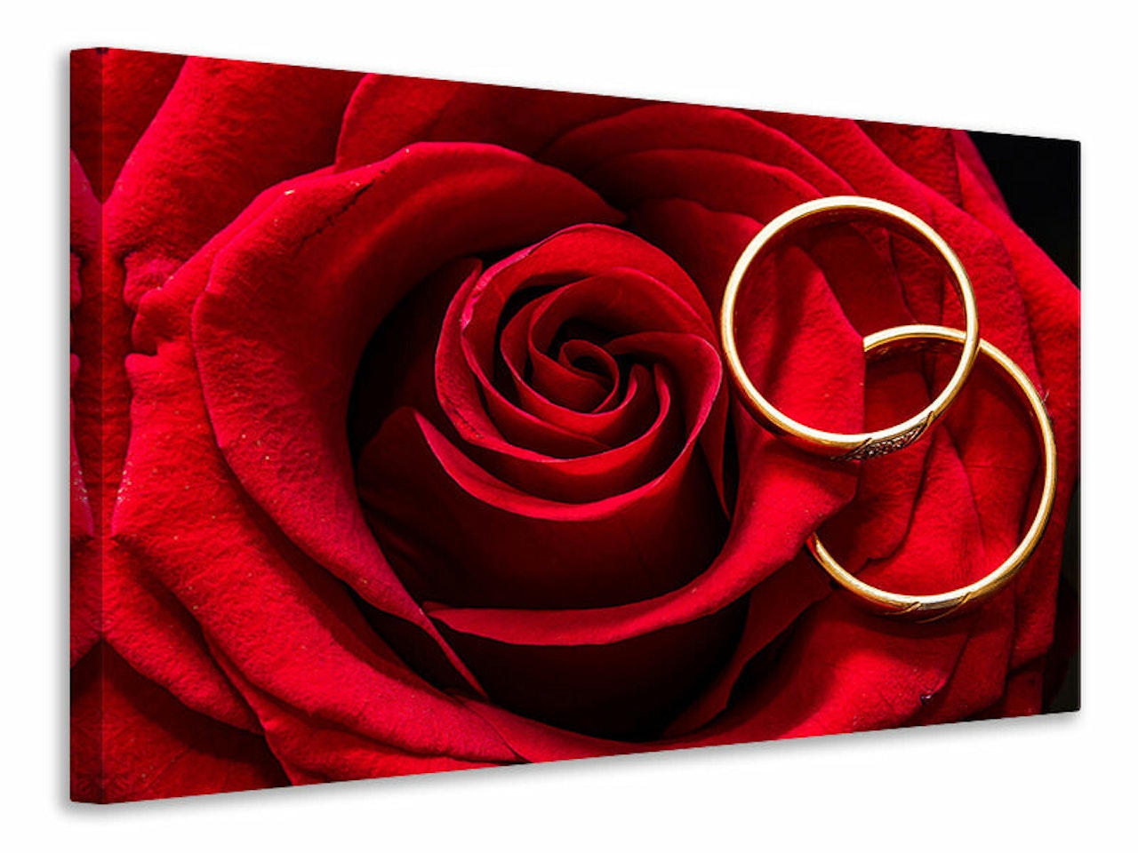 Ljuddämpande tavla - wedding rings on the rose