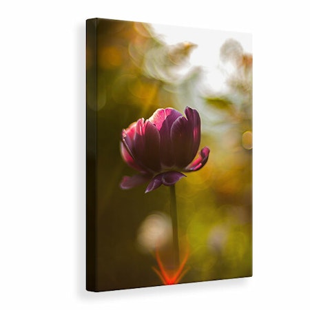 Ljuddämpande tavla - dark tulips beauty