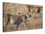 Ljuddämpande tavla - 2 leopards