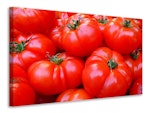 Ljuddämpande tavla - fresh tomatoes