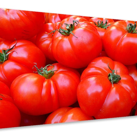 Ljuddämpande tavla - fresh tomatoes
