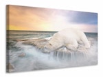 Ljuddämpande tavla - the polar bear and the sea