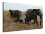 Ljuddämpande tavla - elephant family