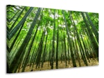 Ljuddämpande tavla - the bamboo forest