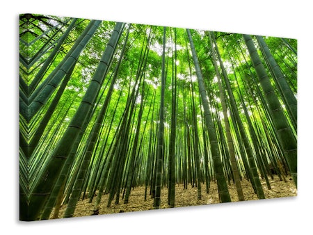 Ljuddämpande tavla - the bamboo forest