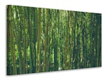 Ljuddämpande tavla - in the middle of the bamboo
