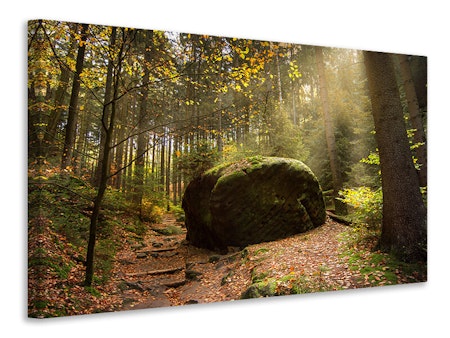 Ljuddämpande tavla - the rock in the forest