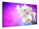 Ljuddämpande tavla - flower power orchid