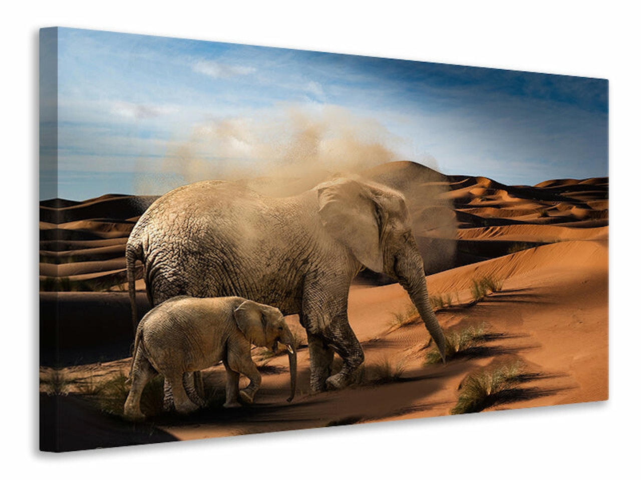 Ljuddämpande tavla - elephants in the desert