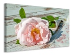 Ljuddämpande tavla - wild rose in pink