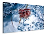 Ljuddämpande tavla - raspberry in the water