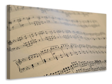 Ljuddämpande tavla - the music notes