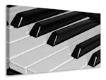 Ljuddämpande tavla - piano keys xl