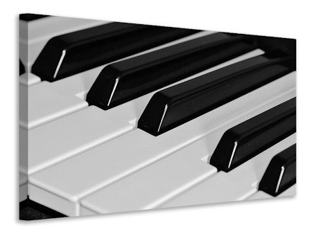 Ljuddämpande tavla - piano keys xl