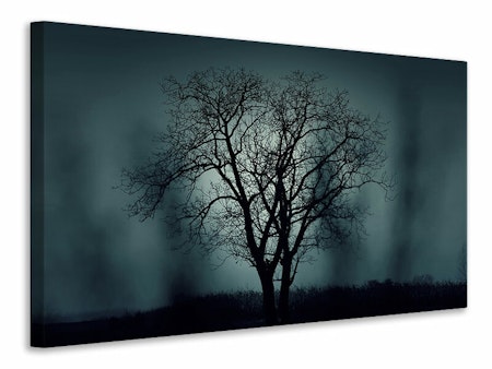 Ljuddämpande tavla - the tree in darkness
