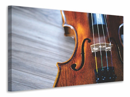 Ljuddämpande tavla - close up violin ii