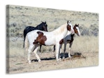 Ljuddämpande tavla - 3 wild horses