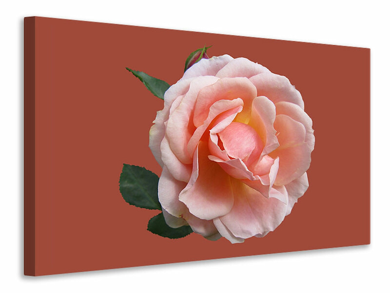 Ljuddämpande tavla - rose in pink xxl ii