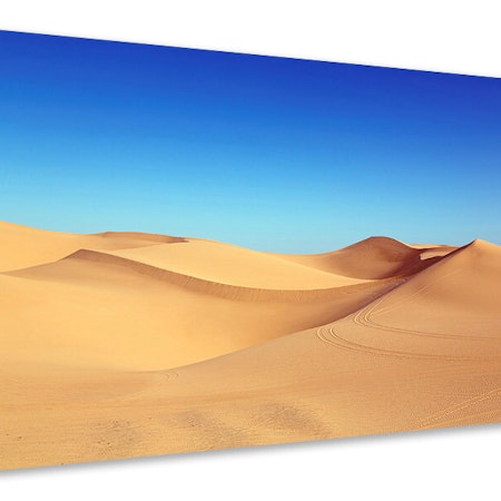 Ljuddämpande tavla - beauty desert