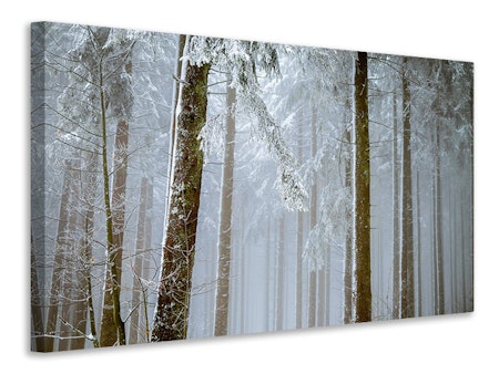 Ljuddämpande tavla - forest in winter