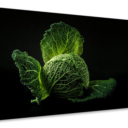 Ljuddämpande tavla - the cabbage