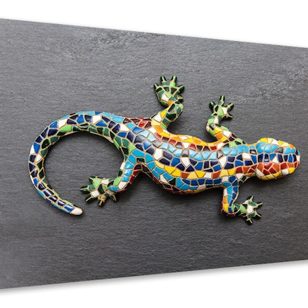 Ljuddämpande tavla - colorful gecko