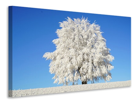 Ljuddämpande tavla - winter tree