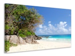 Ljuddämpande tavla - dream beach seychelles