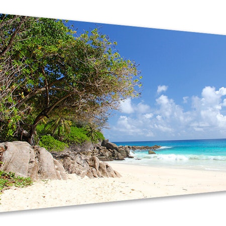 Ljuddämpande tavla - dream beach seychelles