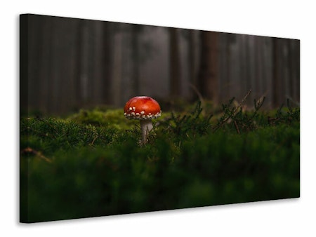 Ljuddämpande tavla - a mushroom in the forest