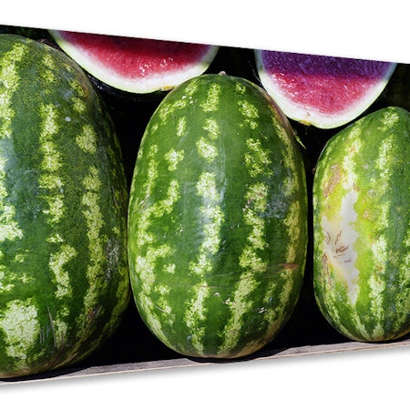 Ljuddämpande tavla - watermelons