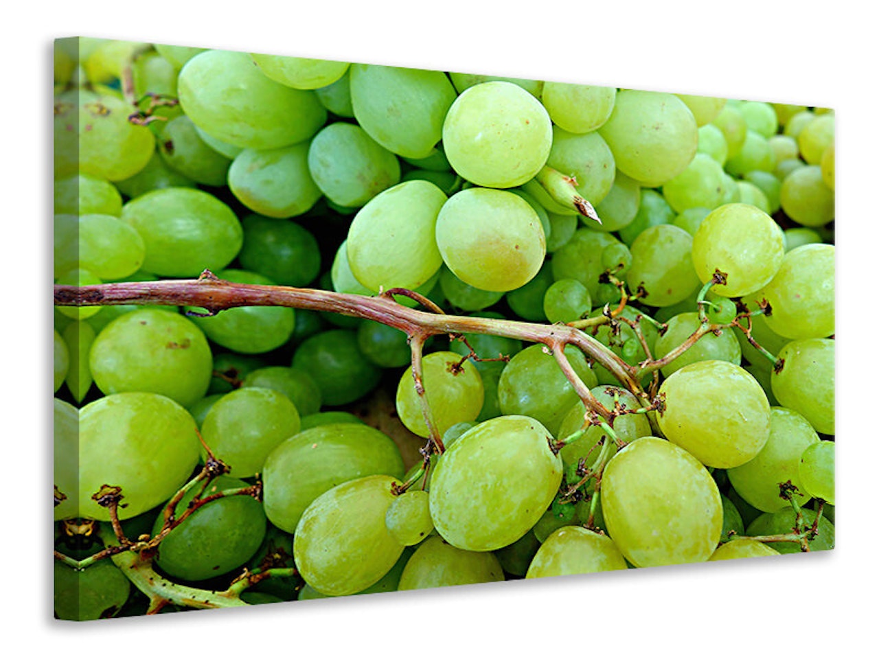 Ljuddämpande tavla - green grapes