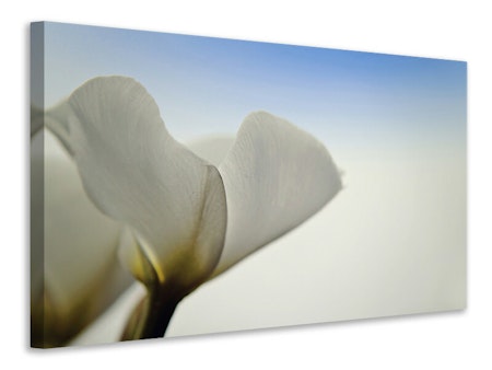 Ljuddämpande tavla - the leaf of a lily blossom