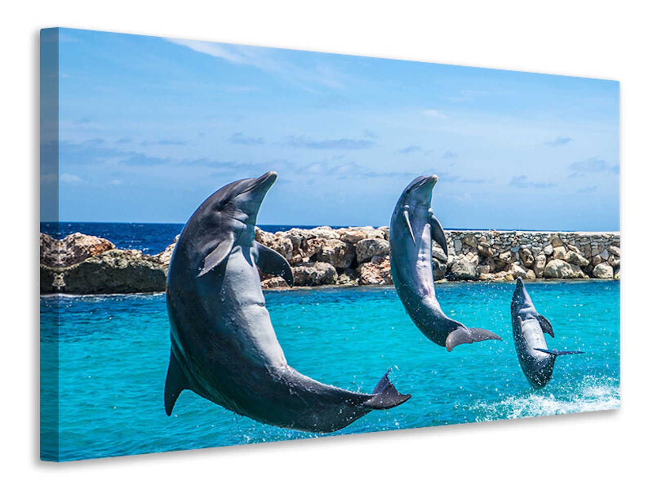 Ljuddämpande tavla - 3 dolphins