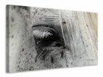 Ljuddämpande tavla - the eye of the horse