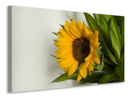 Ljuddämpande tavla - beautiful sunflower