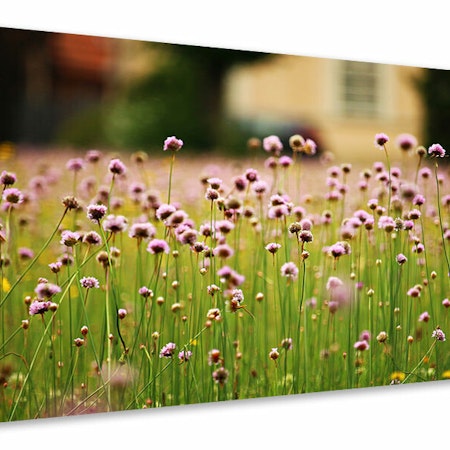 Ljuddämpande tavla - a meadow full of flowers