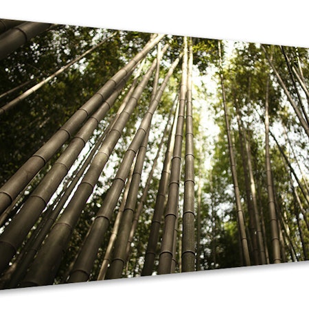 Ljuddämpande tavla - arashiyama japan