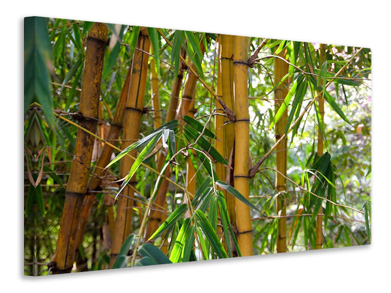 Ljuddämpande tavla - wild bamboo