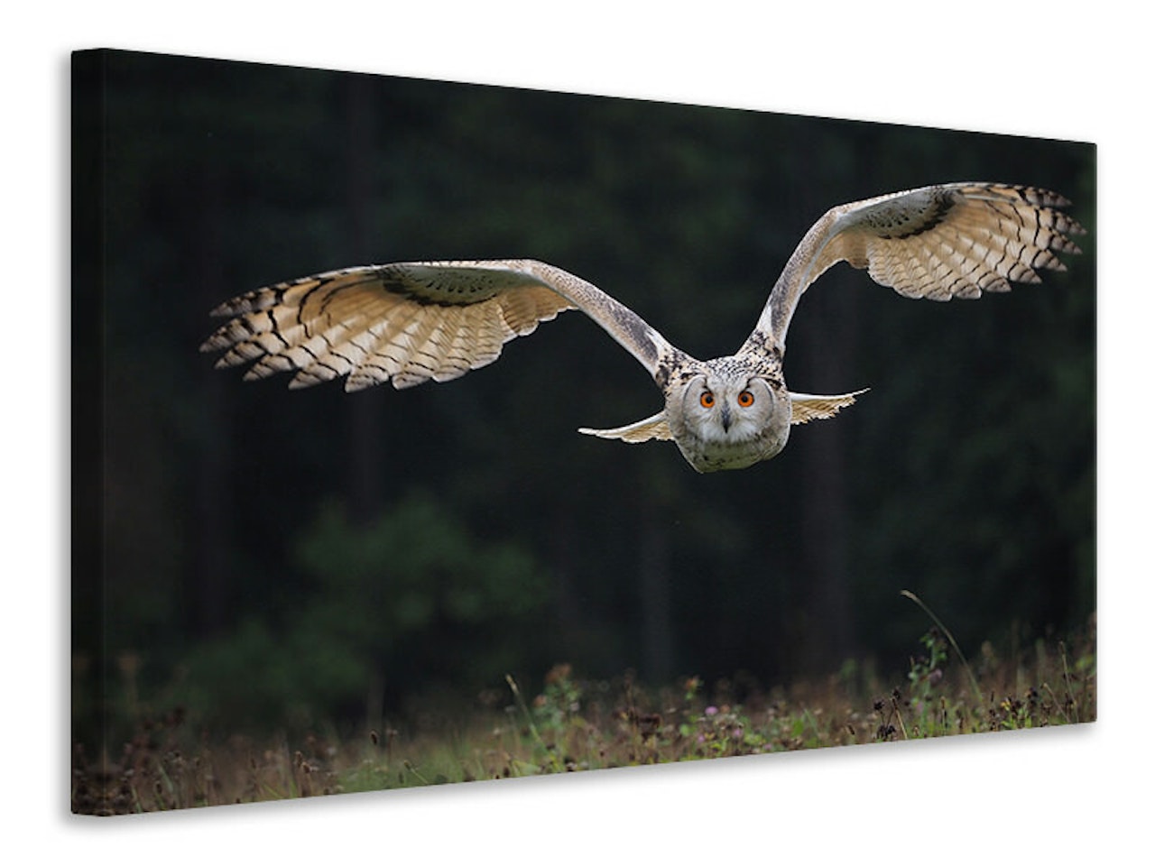 Ljuddämpande tavla - the owl