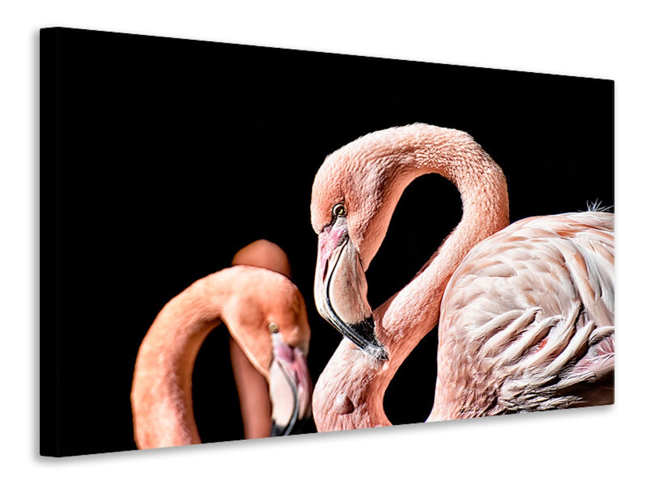 Ljuddämpande tavla - magnificent flamingos