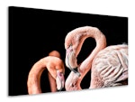 Ljuddämpande tavla - magnificent flamingos