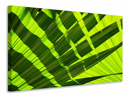 Ljuddämpande tavla - the palm leaf in xl